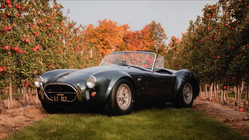 A 1965 Shelby 427 Cobra owned by Carroll Shelby will be auctioned off.